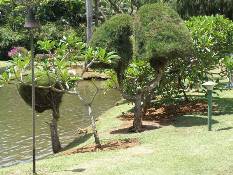 04_Hawaii_3 007.jpg (95829 bytes)